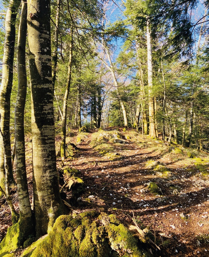 trail