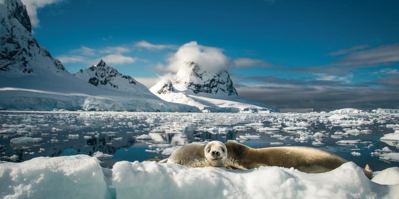 L’Antarctique avec Morgane, photoreporter bressane