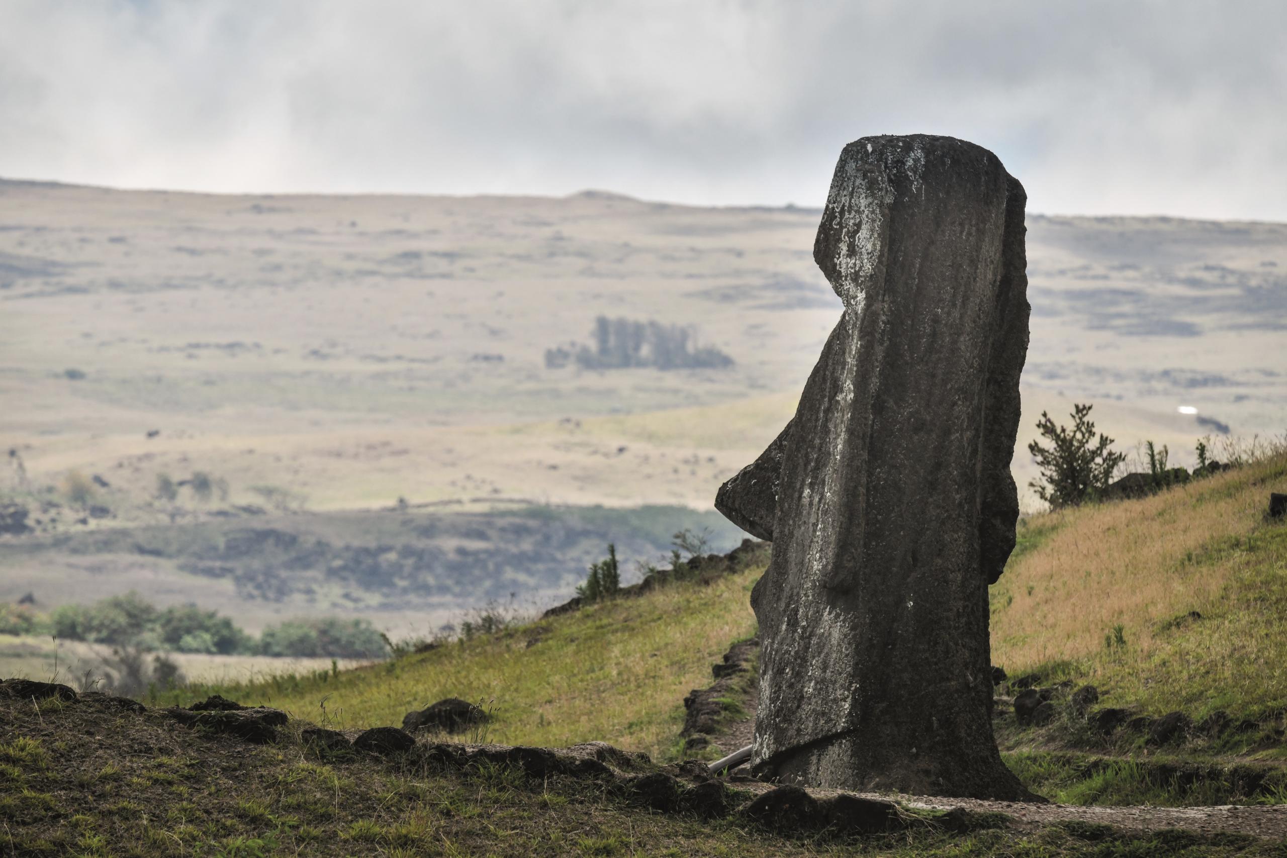 moai 4 copymorgane monneret scaled