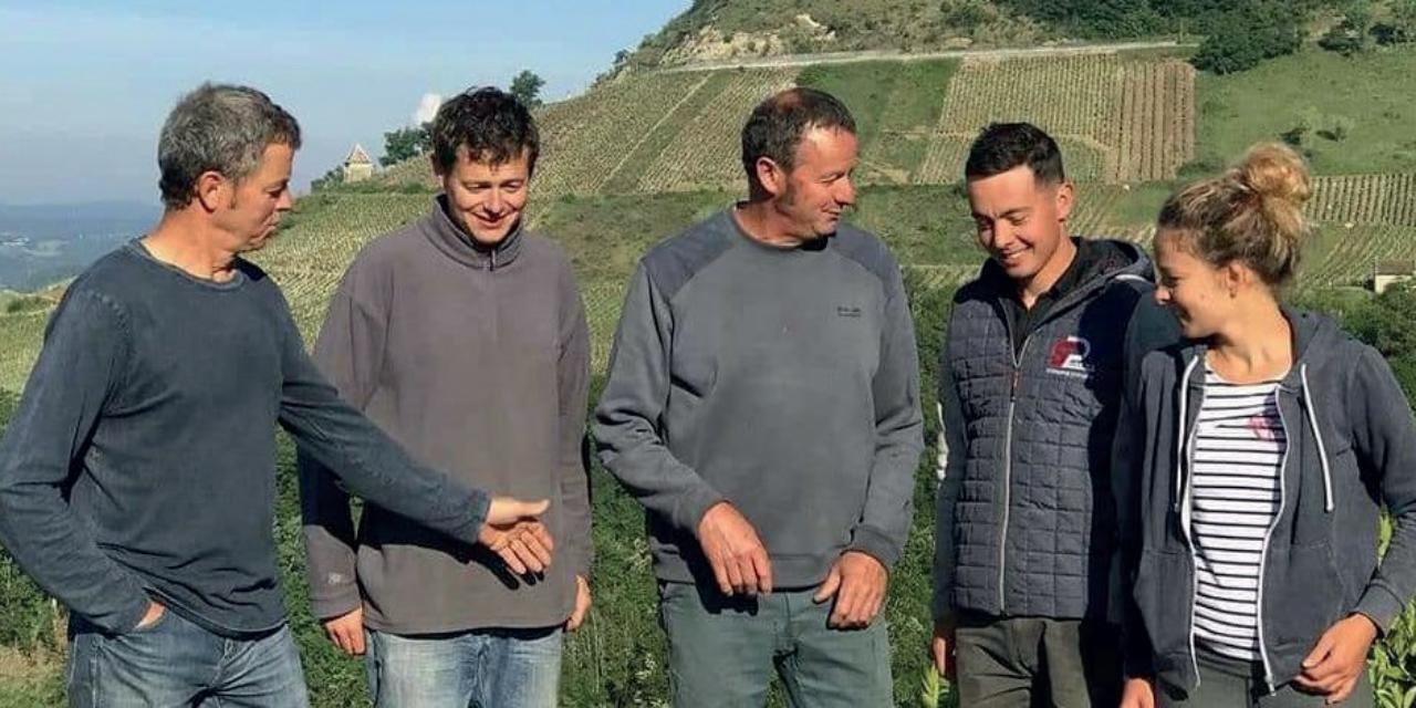 Mondeuse de Montagnieu 2019 de la Maison Bonnard