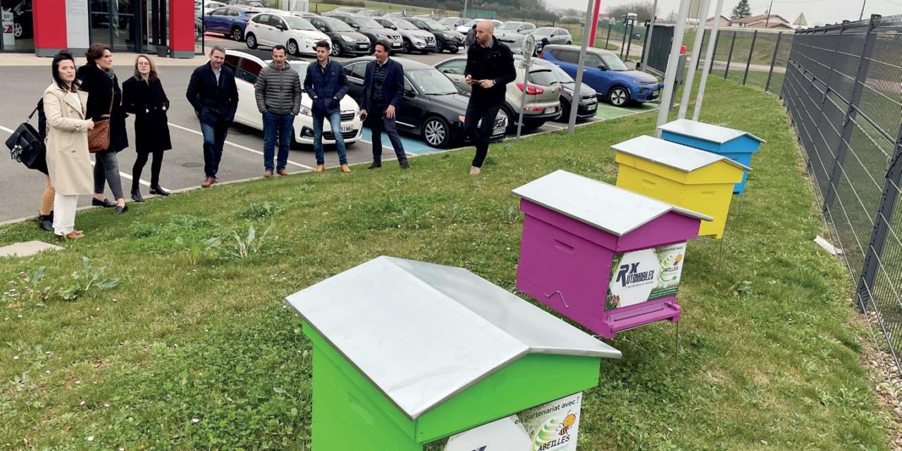 Des ruches pour le groupe Rx Automobiles