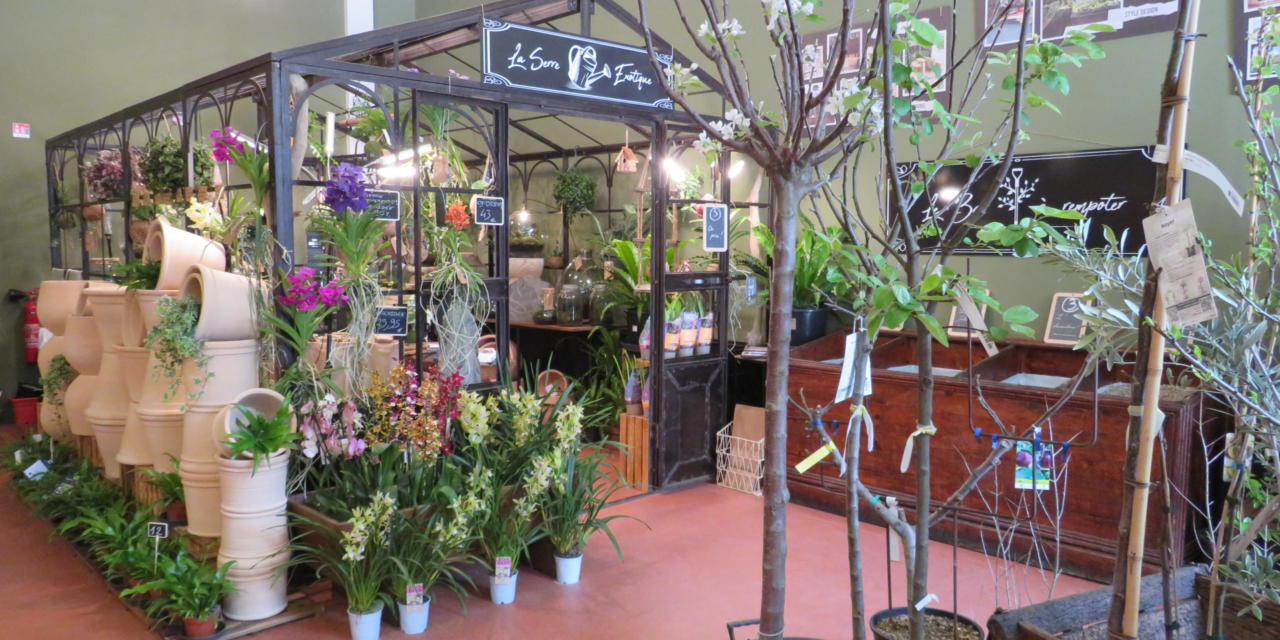 Arbres & co, nouvelle pépinière urbaine