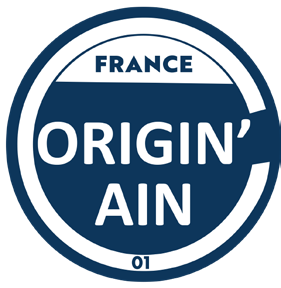 originain logo