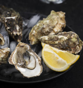 oyster with lemon slice sand ice