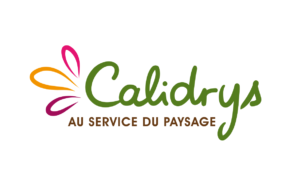 logo calidrys