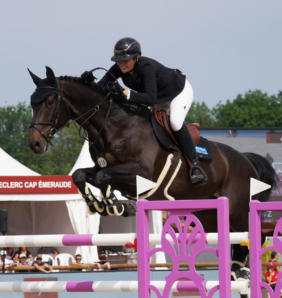 dsc03882 tryba