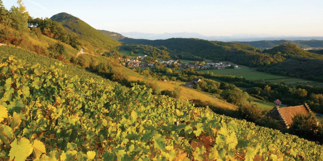 Le Fascinant week-end autour des vins du Bugey