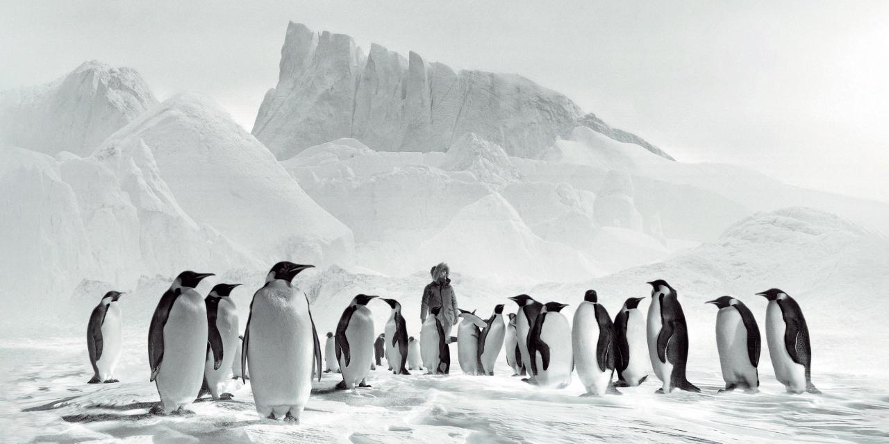 Voyage au pôle Sud, le nouveau film de l’Aindinois Luc Jacquet