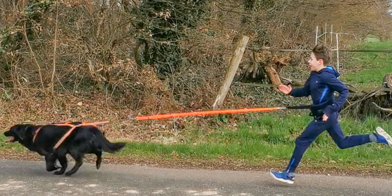 Le cani-cross enfant à Châtillon-sur-Chalaronne