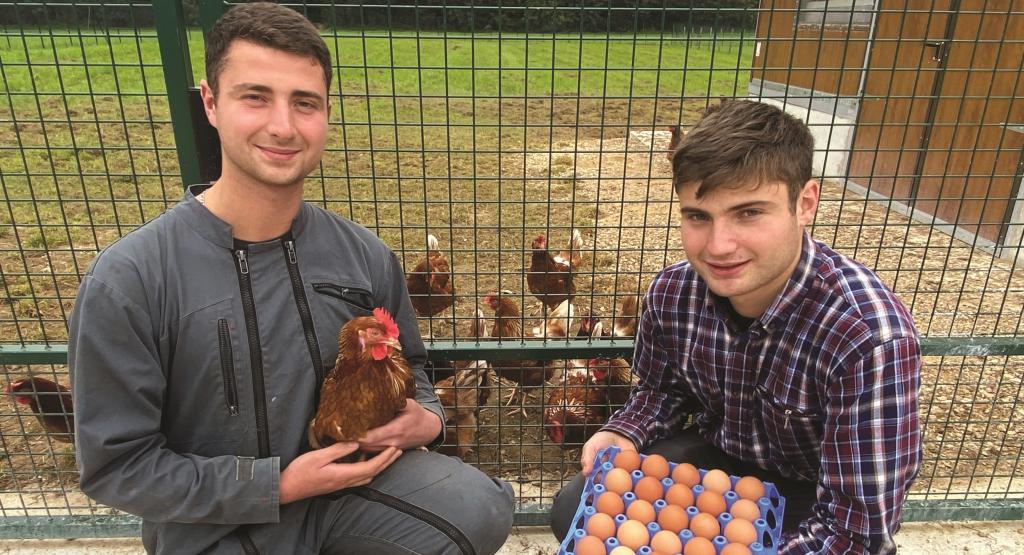 mathis et nathan oeufs 1 copie