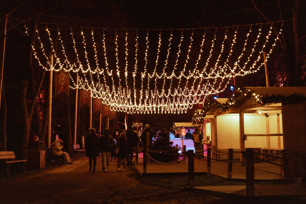 les f ries nocturnes du bois des lutins lyon est diemoz