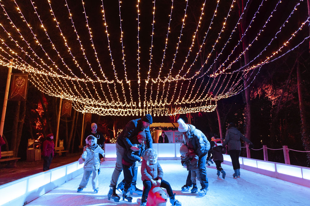 patinoire au bois des lutins diemoz les f ries nocturnes