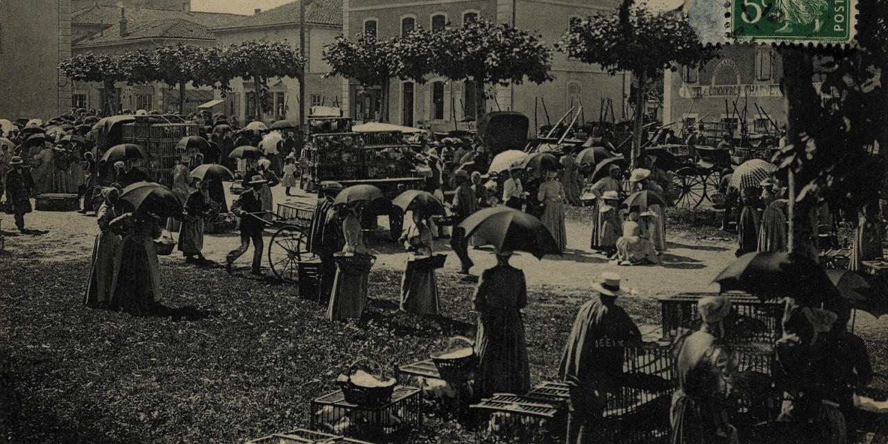 Pont-de-Veyle : bienvenue au Banquet de la Veyle ! 