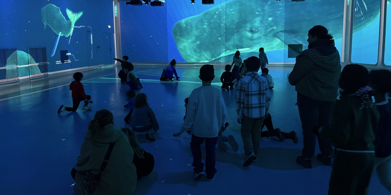 Pour les vacances de février, l&rsquo;Aquarium de Lyon vous propose un programme riche pour mieux s’émerveiller, comprendre et protéger
