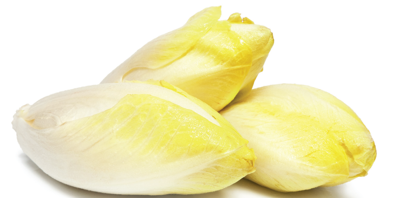 Découvrez les bienfaits de l’endive !