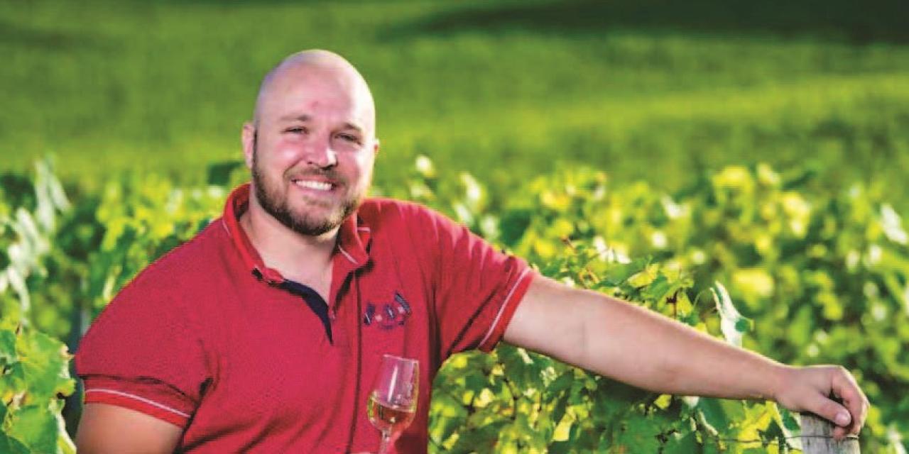Découvrez les vins de Julien Besse, reflets vivants du Mâconnais