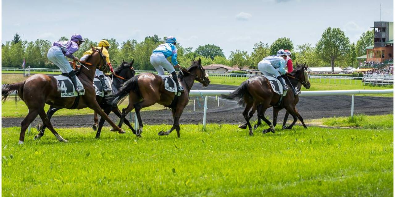 À l’hippodrome de Châtillon-sur-Chalaronne, la saison est lancée au galop