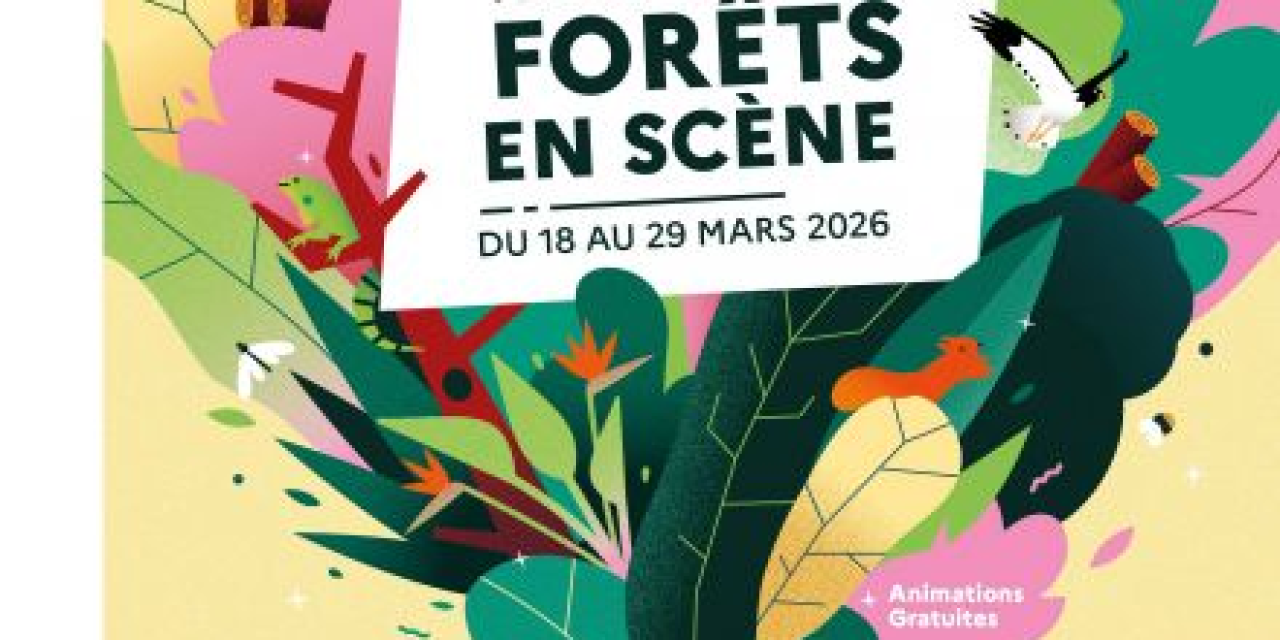 Retrouvez des événements gratuits et pour tous publics du 18 au 29 mars, à l&rsquo;occasion de la Journée internationale des forêts !