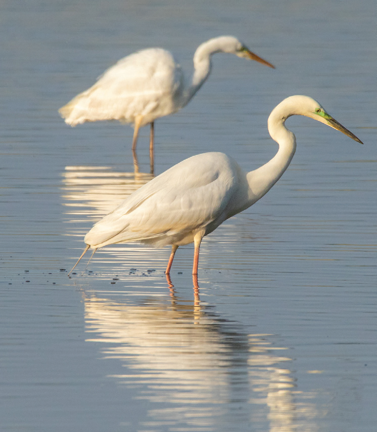 image 69