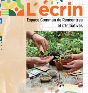 capture article graines