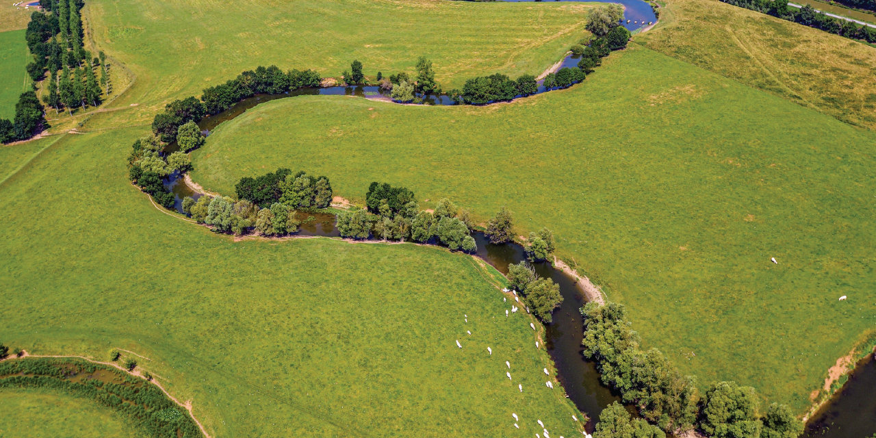 Faites une escapade aux abords de la source de la Reyssouze