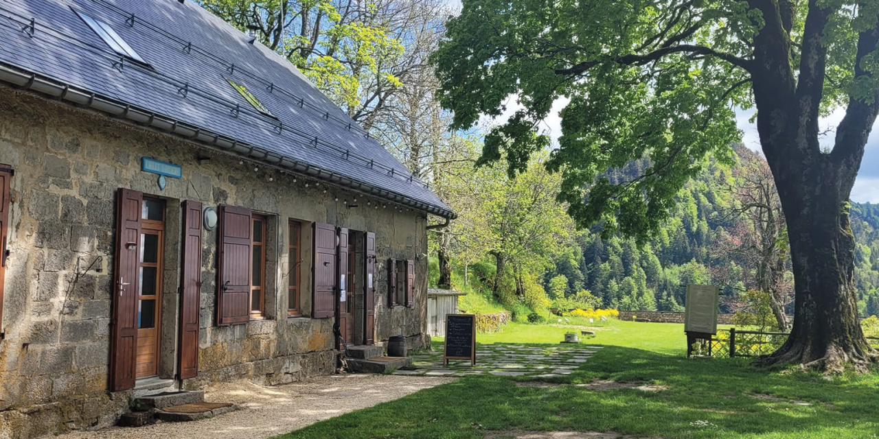 Découvrez le chalet d&rsquo;Arvière : l’échappée sauvage où la nature se cuisine
