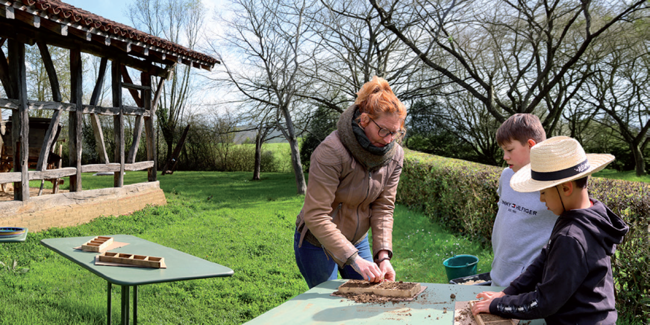 Vivez un un été animé à la Ferme de la Forêt