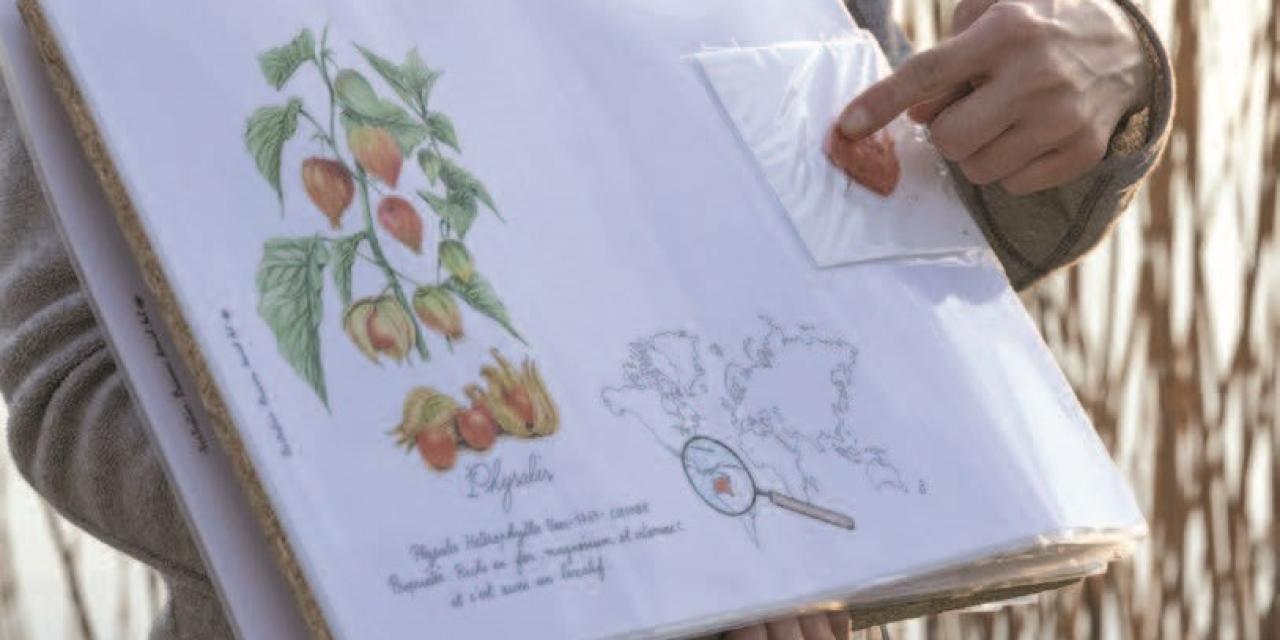 Une visite théâtralisée Physalis : entre histoire et nature au bord de l’étang