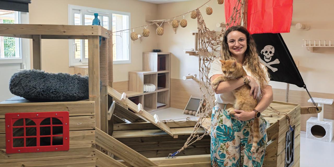 Felis : la pension pour chats « comme à la maison »