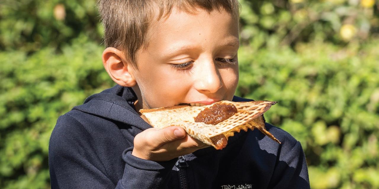 Fête du vincuit : venez goûter en famille !