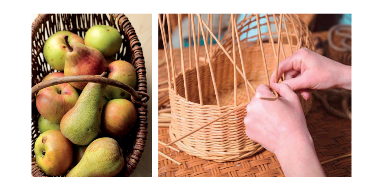 Journées des fruits d&rsquo;automne, les 17 et 18 octobre à Cuisiat : à vos paniers !