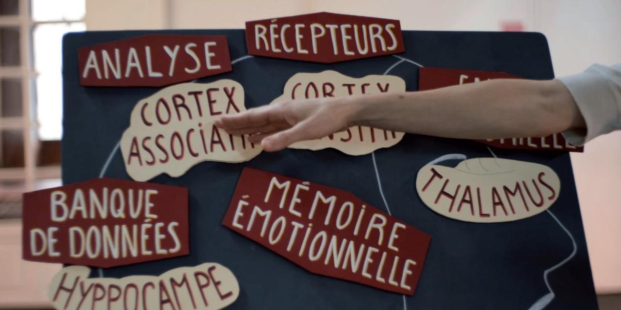 « La Trace d&rsquo;une histoire », une conférence dansée sur le psychotraumatisme, le 7 octobre à la MJC