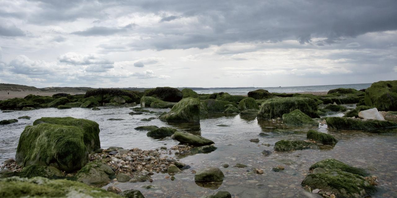 Le Photo club de Tossiat à la découverte des Hauts-de-France