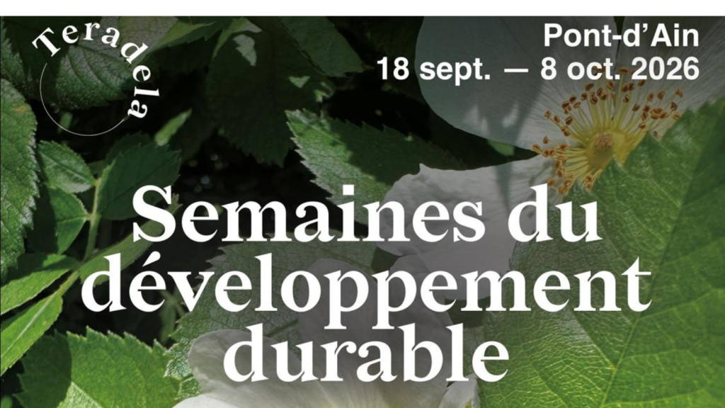 design sans titre 13