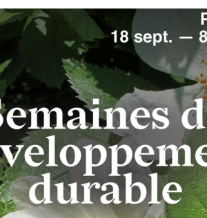 design sans titre 13