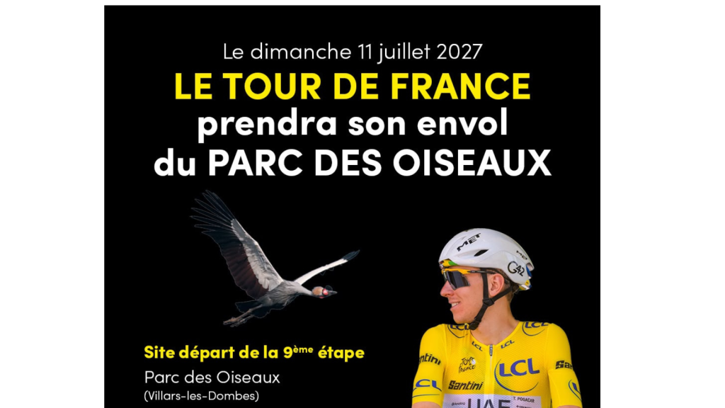 design sans titre 39