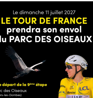 design sans titre 39